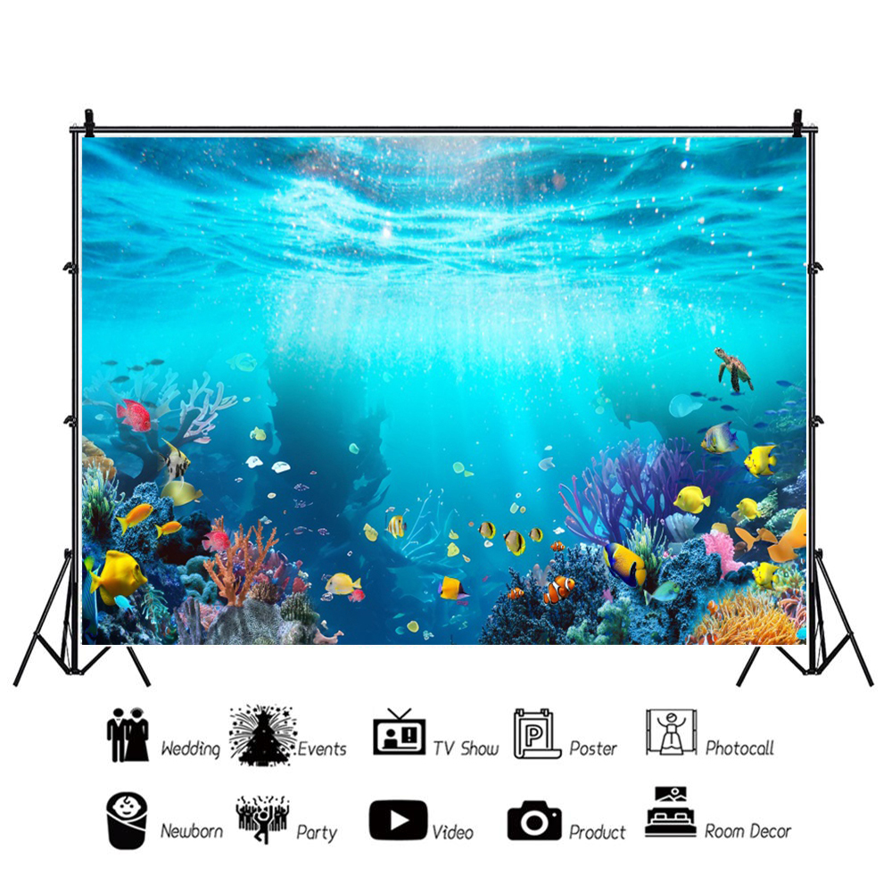 Ocean Underwater World Fish Co - Planted Aquarium With Fish 리뷰 및 가격