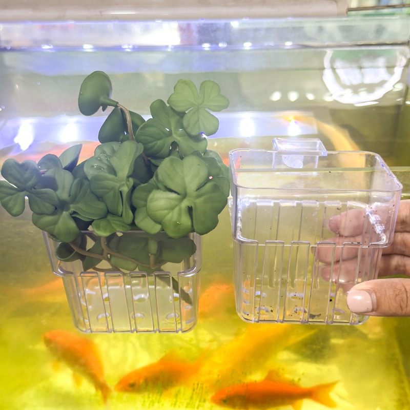 1/5pcs Aquarium Decoration Pla - Planted Aquarium With Fish 리뷰 및 가격