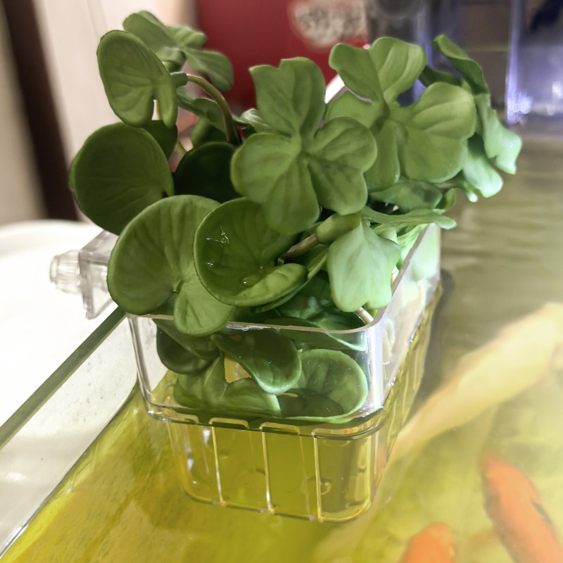 1/5pcs Aquarium Decoration Pla - Planted Aquarium With Fish 리뷰 및 가격