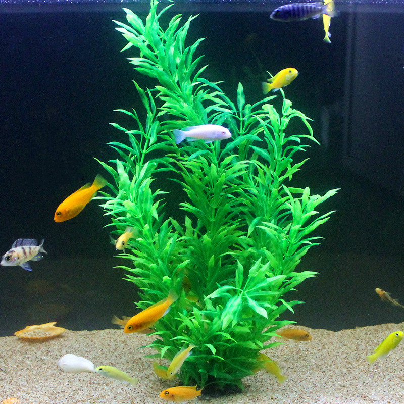 50CM Artificial Fish Tank Rare - Planted Aquarium With Fish 리뷰 및 가격