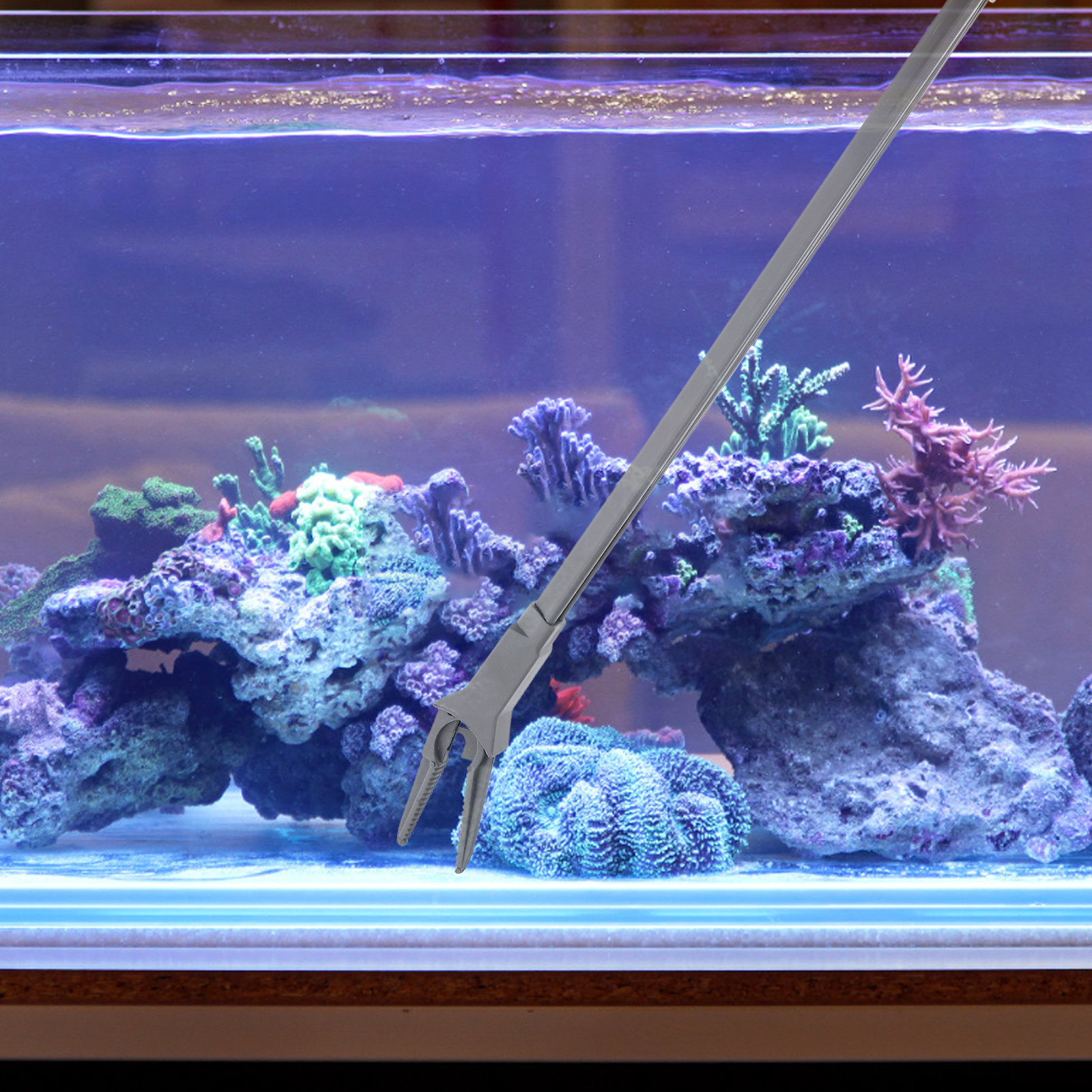 Fish Tank Aquatic Plant Tweeze - Planted Aquarium Tips 리뷰 및 가격