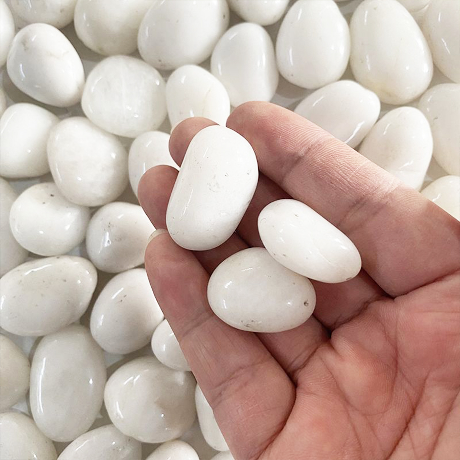 600g Smooth Polished Pebbles,  - Aquarium Sand White 리뷰 및 가격