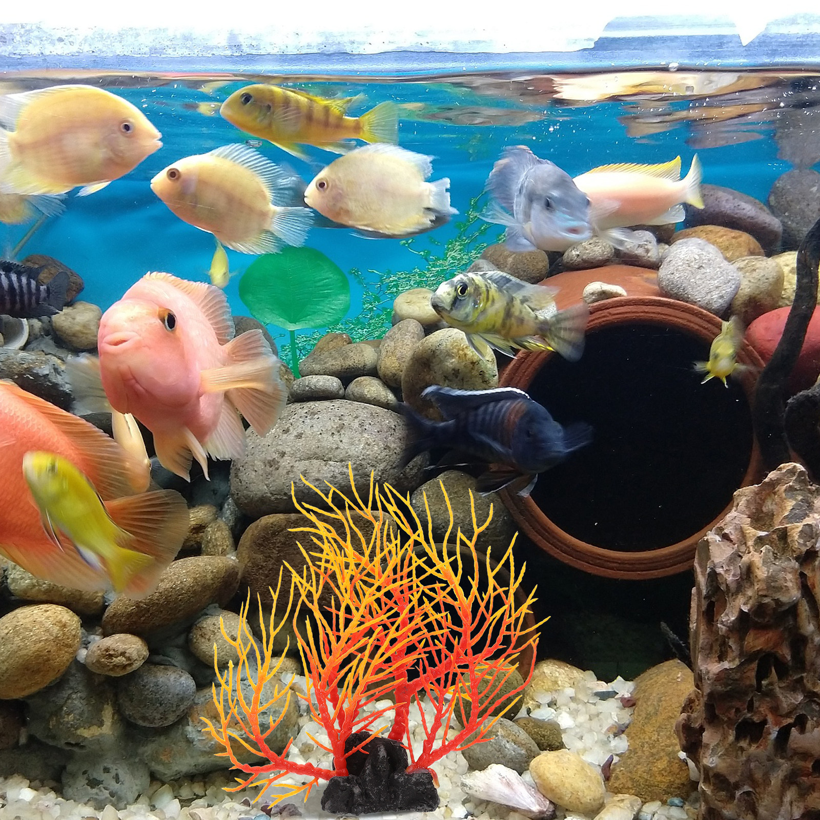 Realistic Artificial Aquarium  - Non Planted Aquarium Fish 리뷰 및 가격
