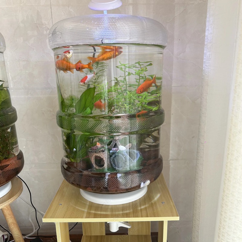 Instant Setup Home Fish Tank 3 - Aquarium Planted Setup 리뷰 및 가격