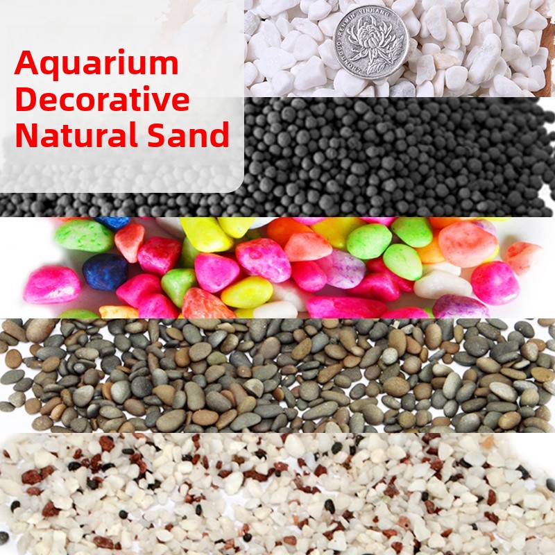 Aquarium Bottom Sand Scenic De - Aquarium Sand White 리뷰 및 가격