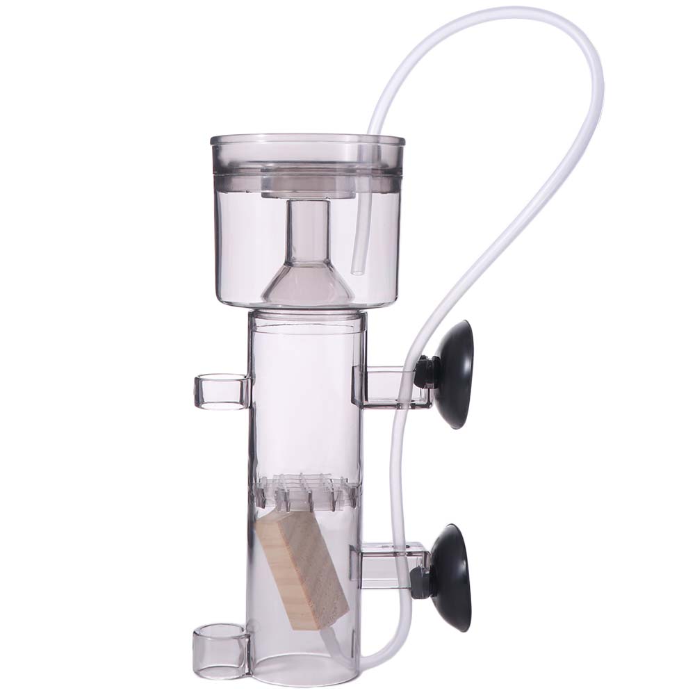 Suction Cup Aquarium Protein S - Aquarium Lily Pipe 리뷰 및 가격