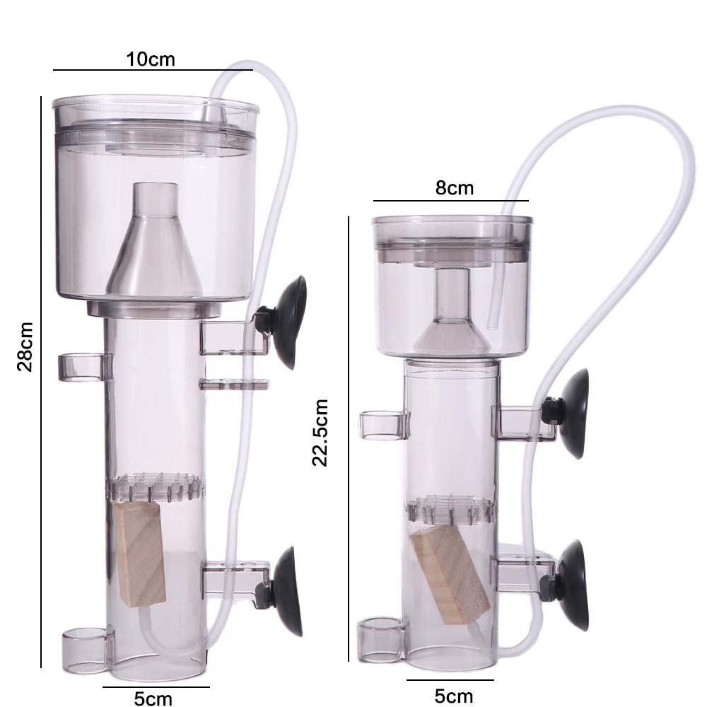 Suction Cup Aquarium Protein S - Aquarium Lily Pipe 리뷰 및 가격