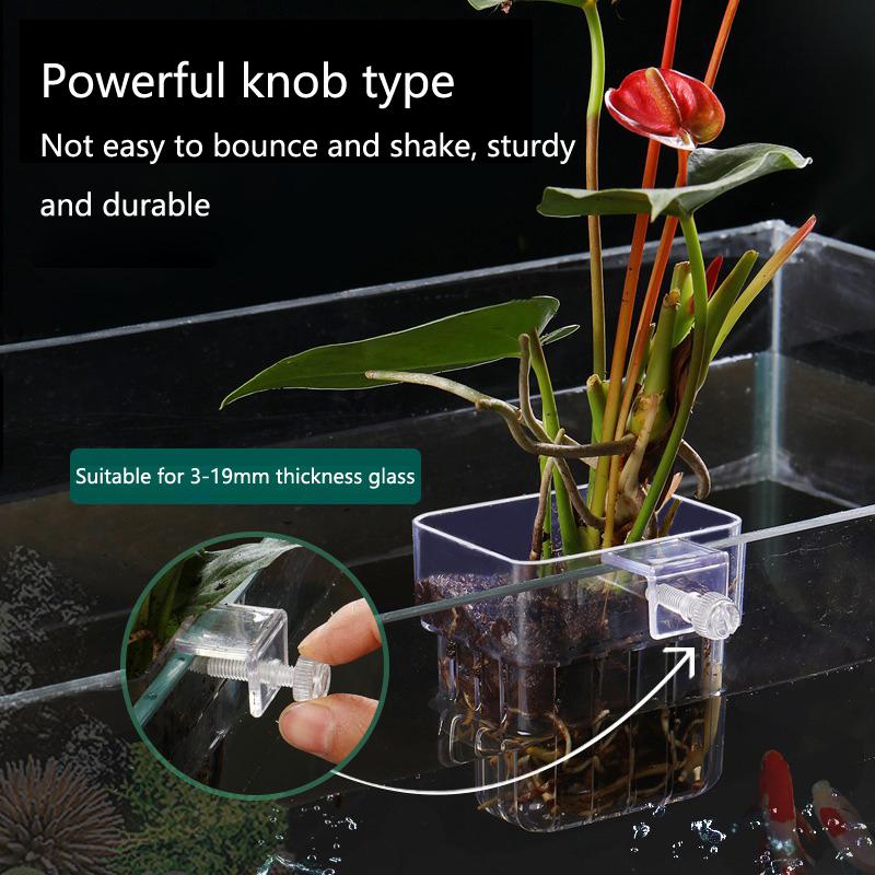 Aquarium Hydroponic Planting C - Aquarium Planted Setup 리뷰 및 가격
