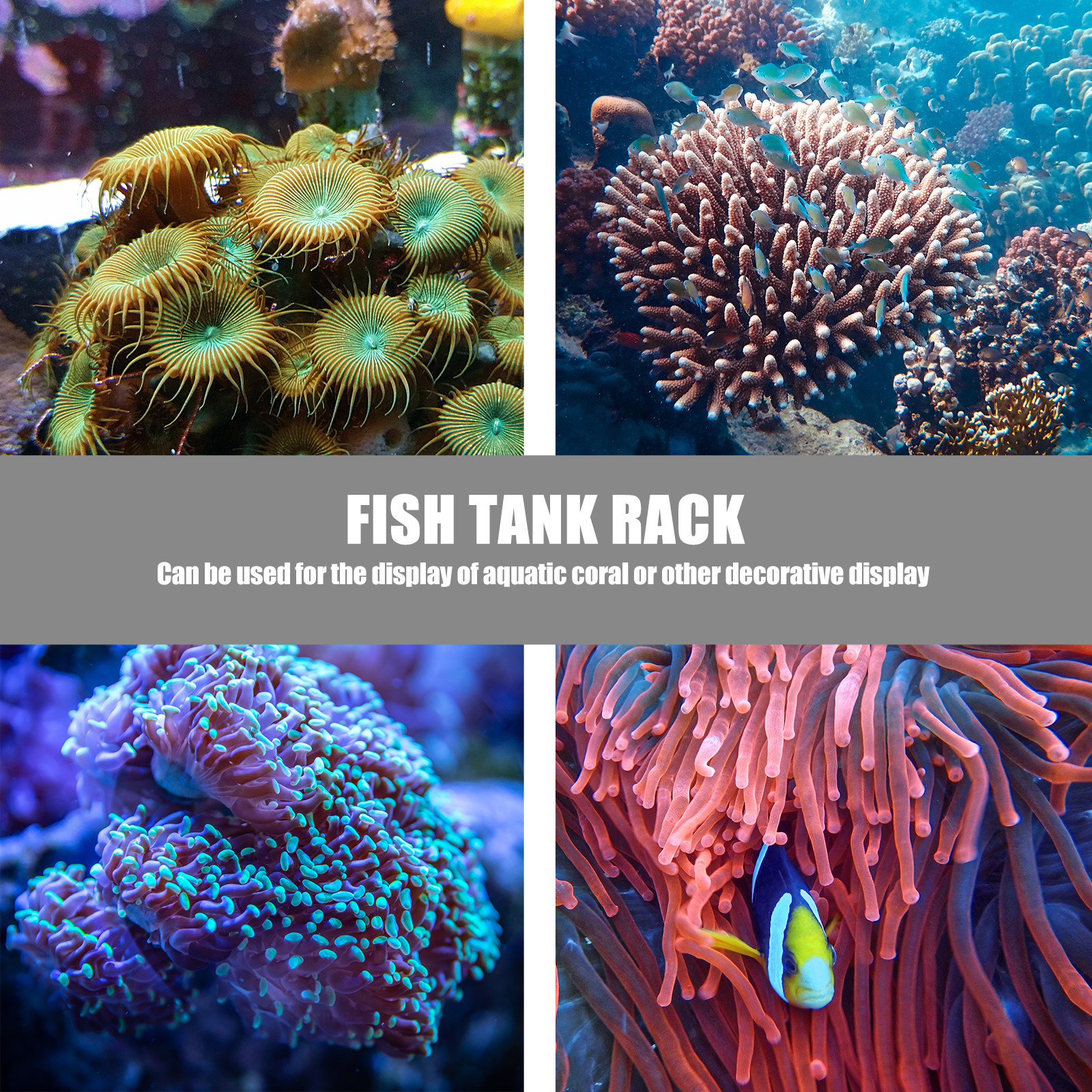 1Pcs Coral Base Stylish Strong - Aquarium Planted Setup 리뷰 및 가격
