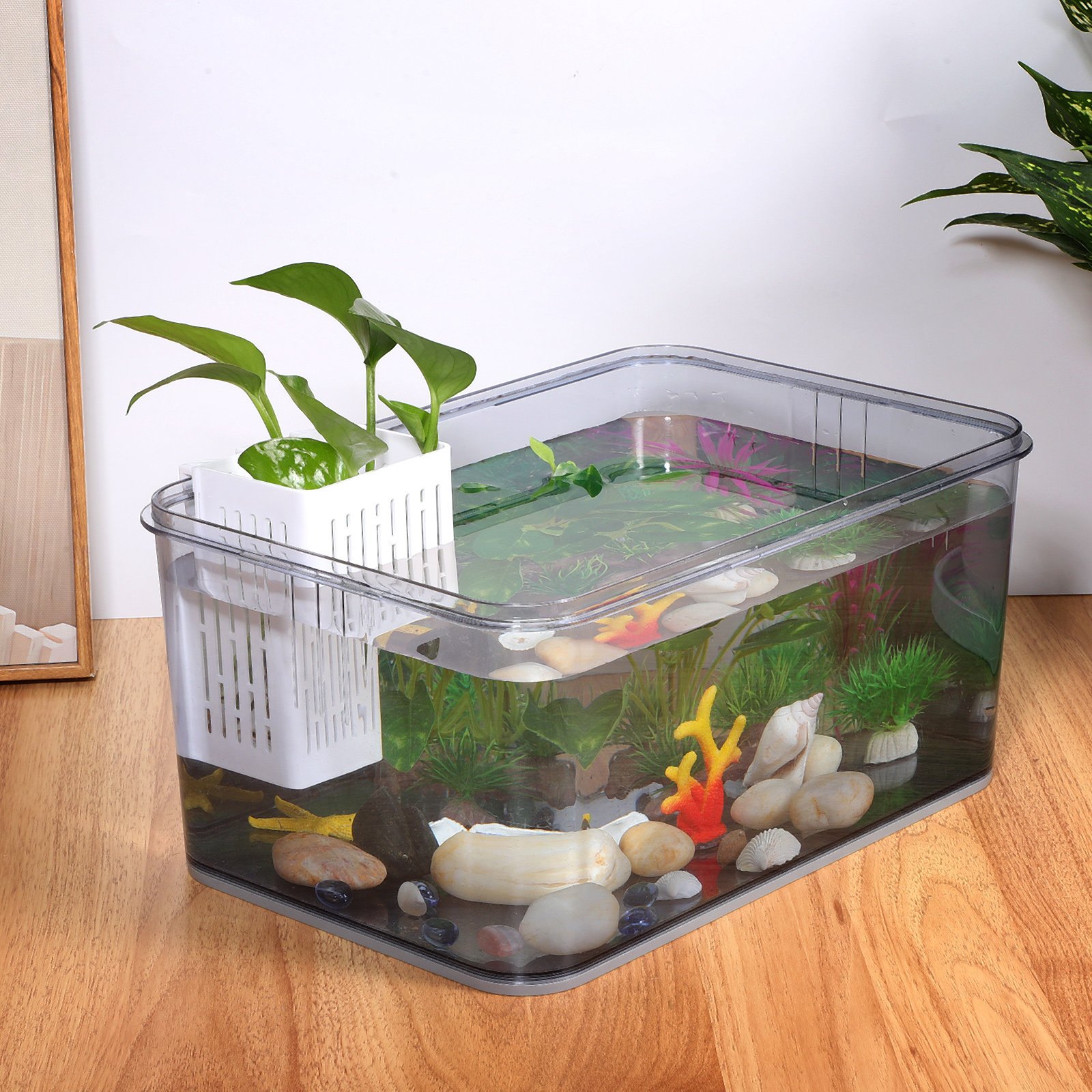 2Pcs Hanging Aquarium Planter  - Aquarium Planted Setup 리뷰 및 가격