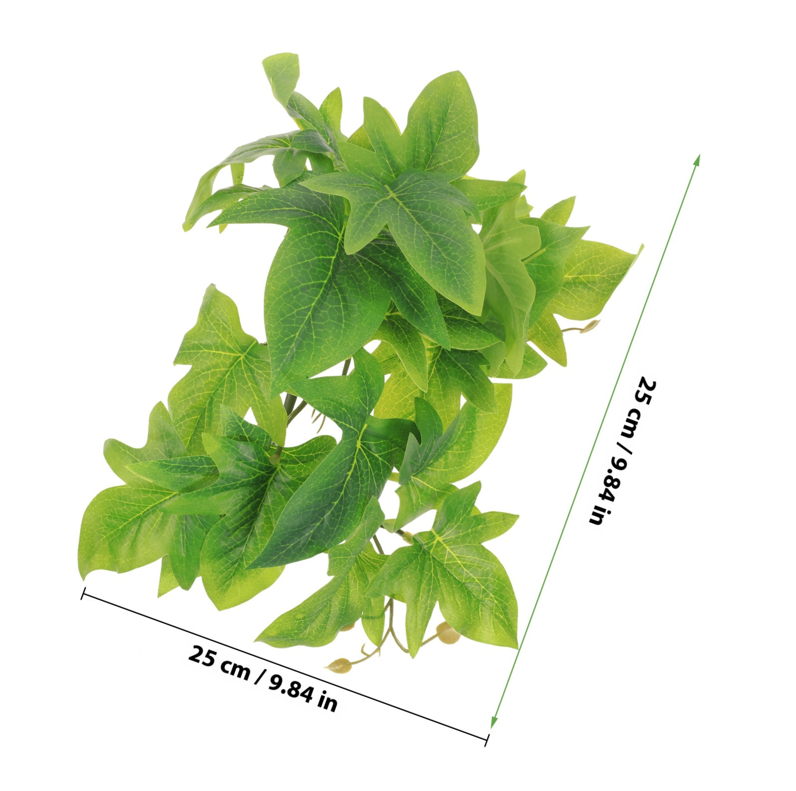 Safe Non-Toxic Reptile Plants  - Non Planted Aquarium Fish 리뷰 및 가격