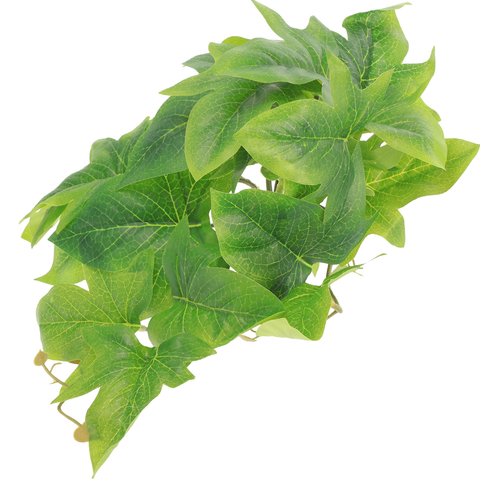Safe Non-Toxic Reptile Plants  - Non Planted Aquarium Fish 리뷰 및 가격