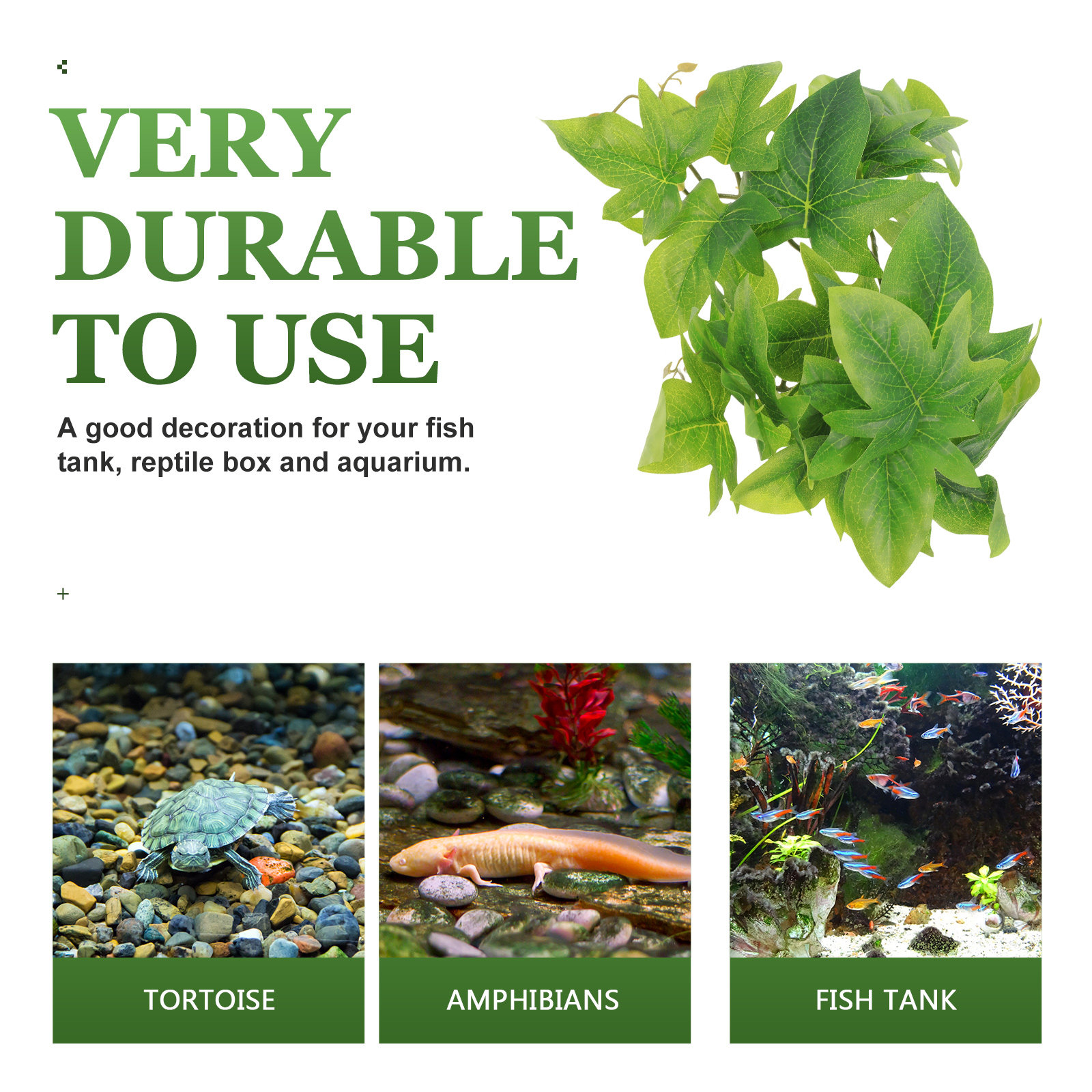 Safe Non-Toxic Reptile Plants  - Non Planted Aquarium Fish 리뷰 및 가격