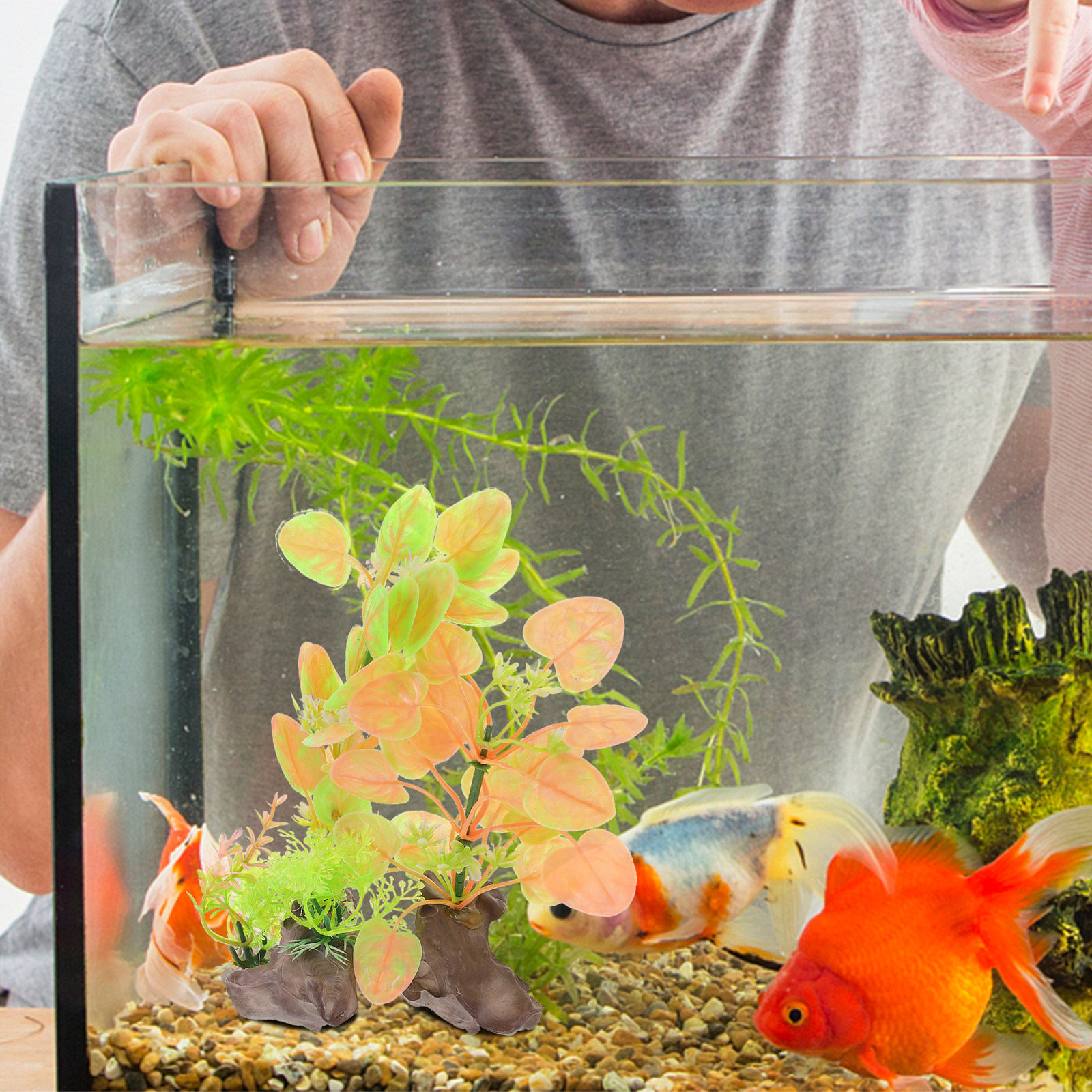 2Pcs Realistic Artificial Aqua - Non Planted Aquarium Fish 리뷰 및 가격