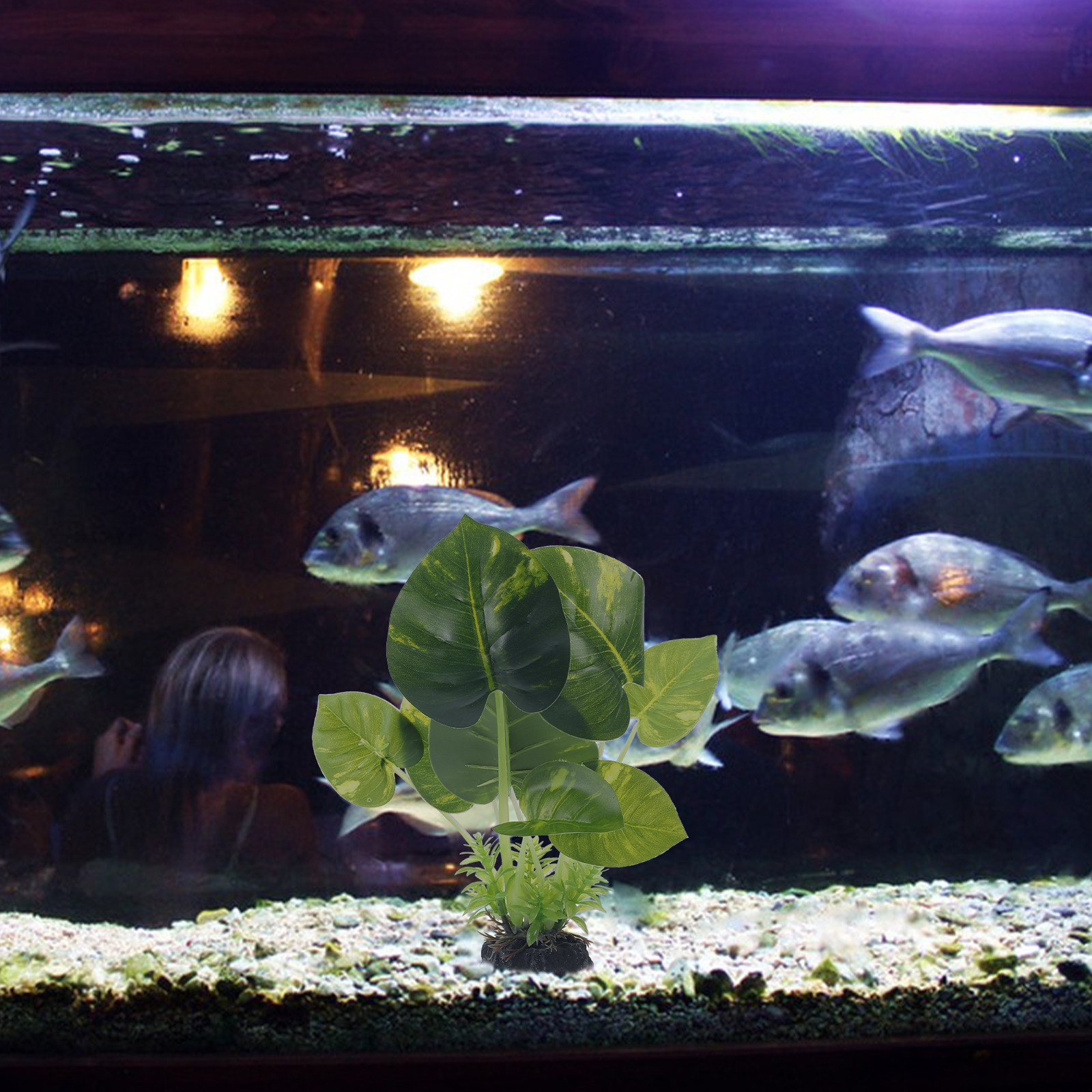 Realistic Artificial Aquarium  - Non Planted Aquarium Fish 리뷰 및 가격